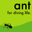 ant for diving life